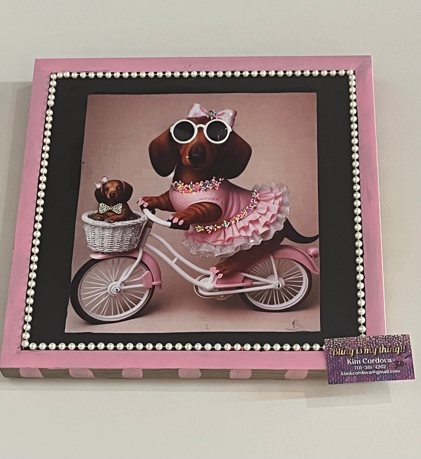 Weiner dog on bike with baby in basket