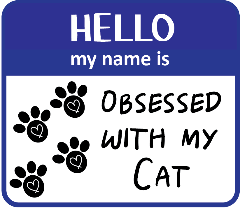 Hello Obsessed Cat Magnet