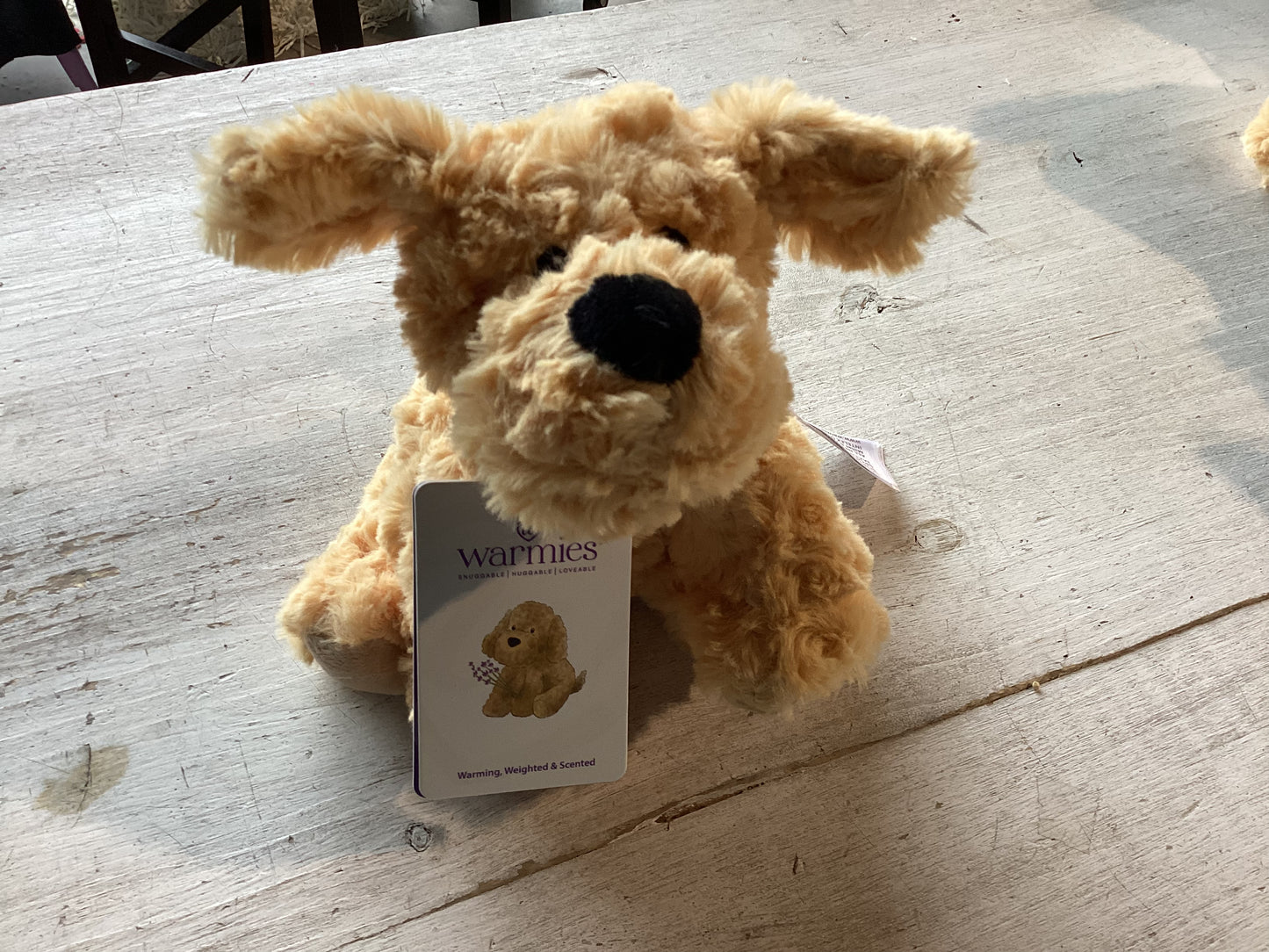 Junior Golden Dog Warmies