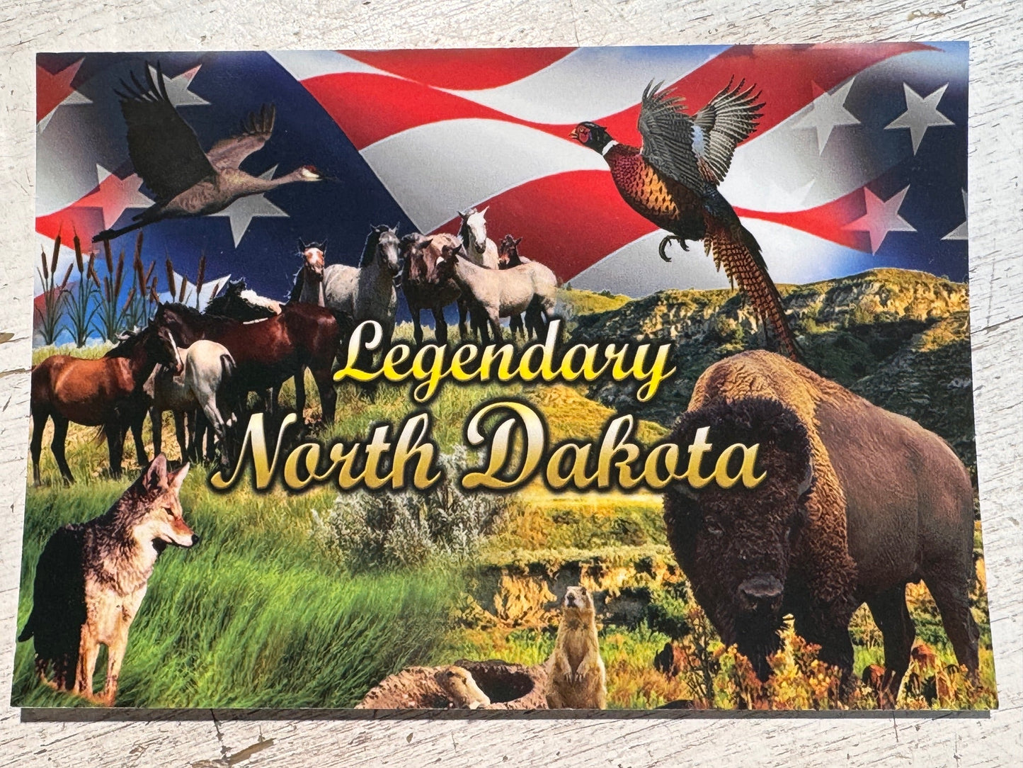 Post Card North Dakota