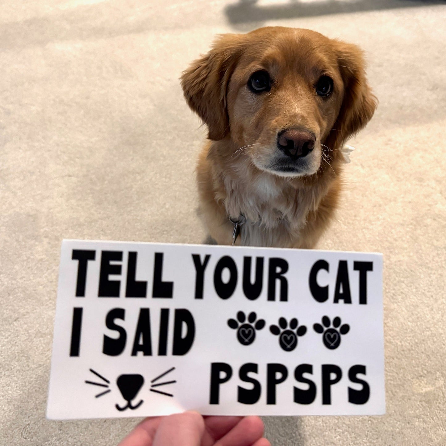 Tell Your Cat Bumper Sticker