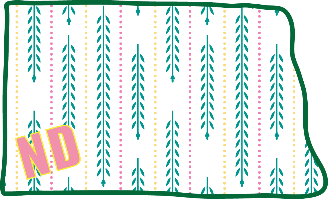 ND Pink & Yellow Pattern