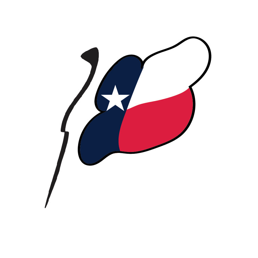 Texas Flag Magnet
