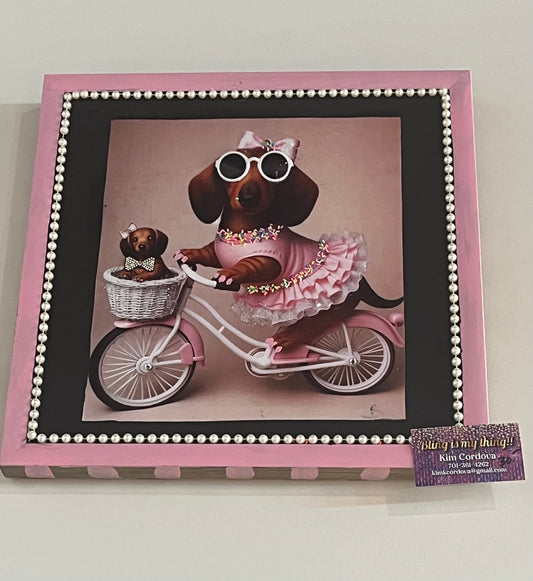 Weiner dog on bike with baby in basket