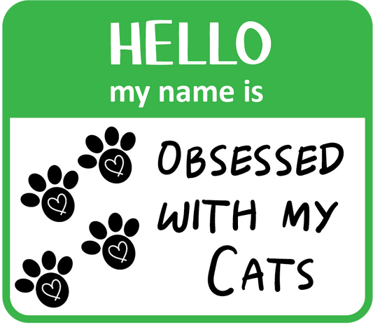 Hello Obsessed CatS Magnet