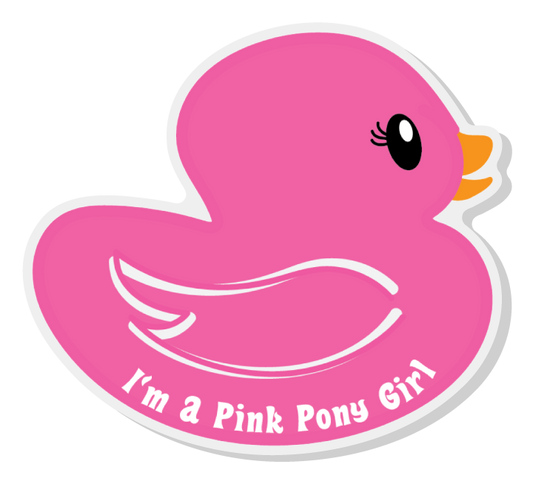 Pink Pony Girl Duck Pin Acrylic